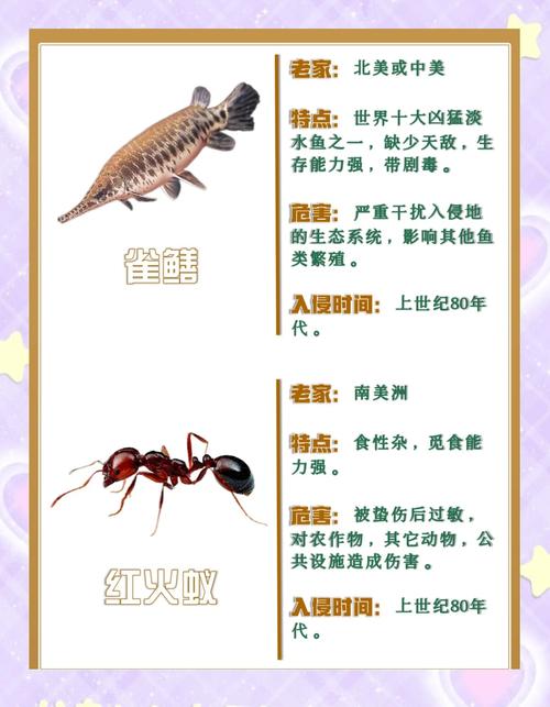 白鬼的威胁交任务_魔兽世界白鬼的威胁任务_白鬼的威胁