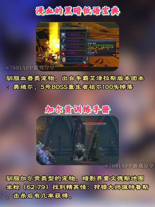 暴雪熊宝宝是几周年_暴雪熊宝宝_暴雪熊宝宝猎人