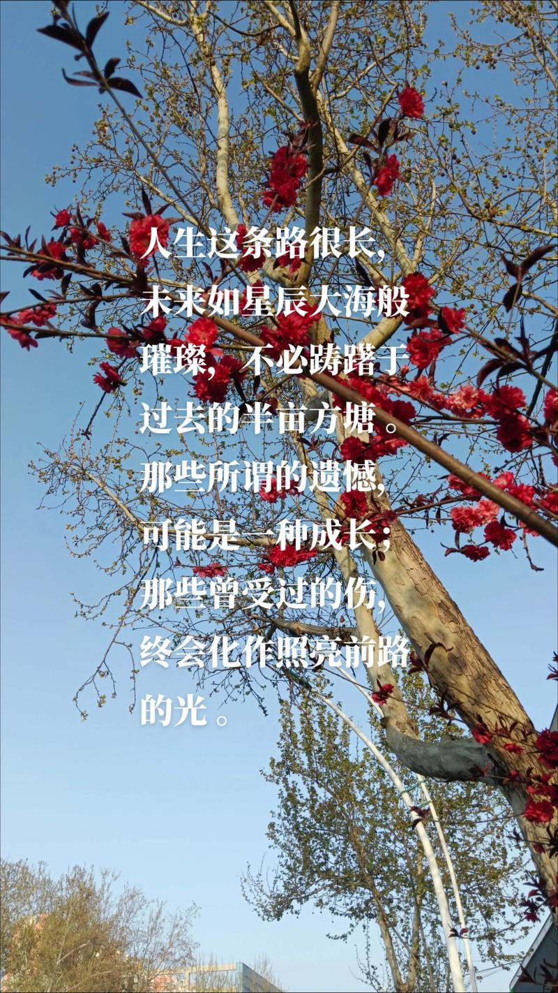 灿烂人生故事详情_灿烂人生之佳恩不哭_灿烂人生经典