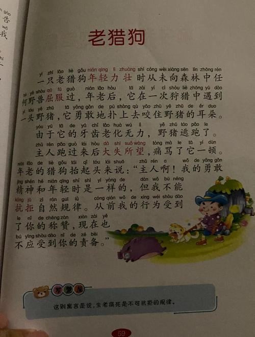 猎人传说_猎人传承套装_猎人传家宝