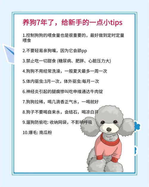 宠物心情文案_关于宠物的说说开心的说说_怎么让qq宠物心情好