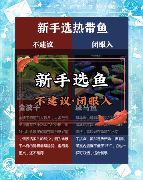热带鱼论坛_热带鱼交流群_热带鱼论坛有哪些