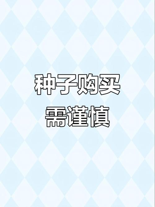 种子市场不更新了_bt种子市场_种子市场比特彗星