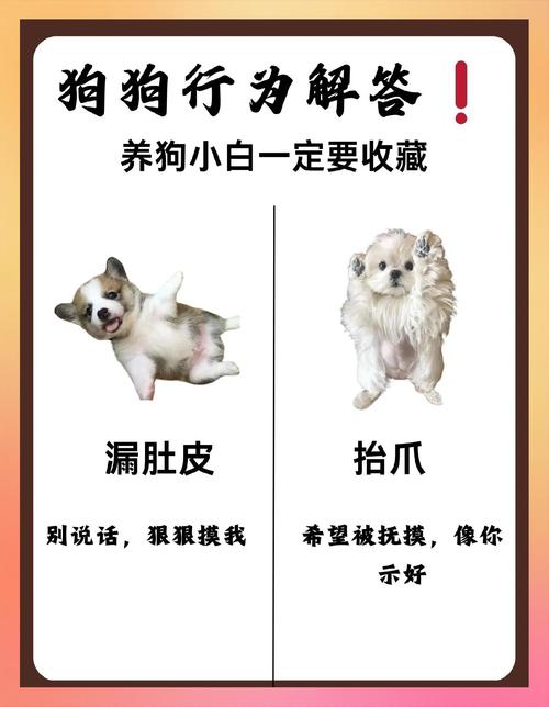 关于宠物的说说开心的说说_怎么让qq宠物心情好_宠物心情文案
