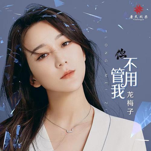 飞龙梅子djmp3下载_海鸥飞龙梅子_飞呀飞 龙梅子