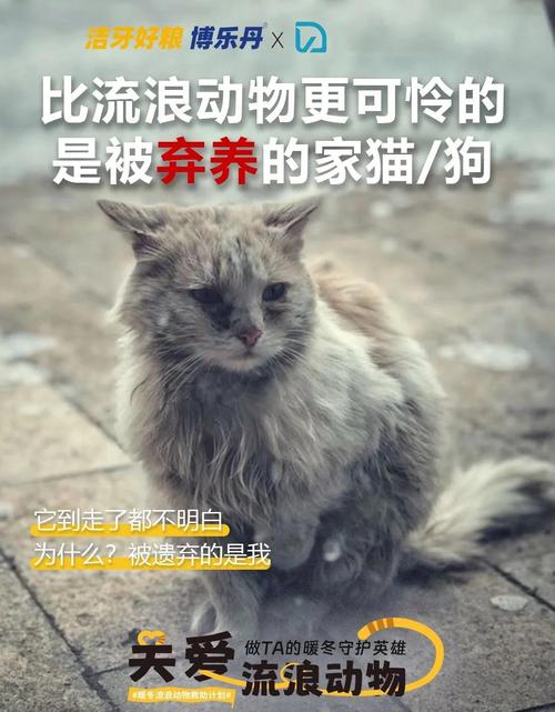 宠神笔趣阁_宠神_宠神百度百科