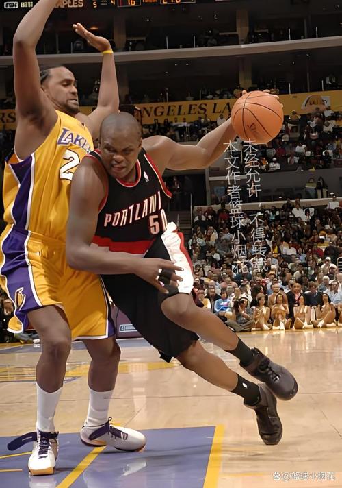 征战多年的老将深度观察：扎克·兰多夫在NBA的独特印记
