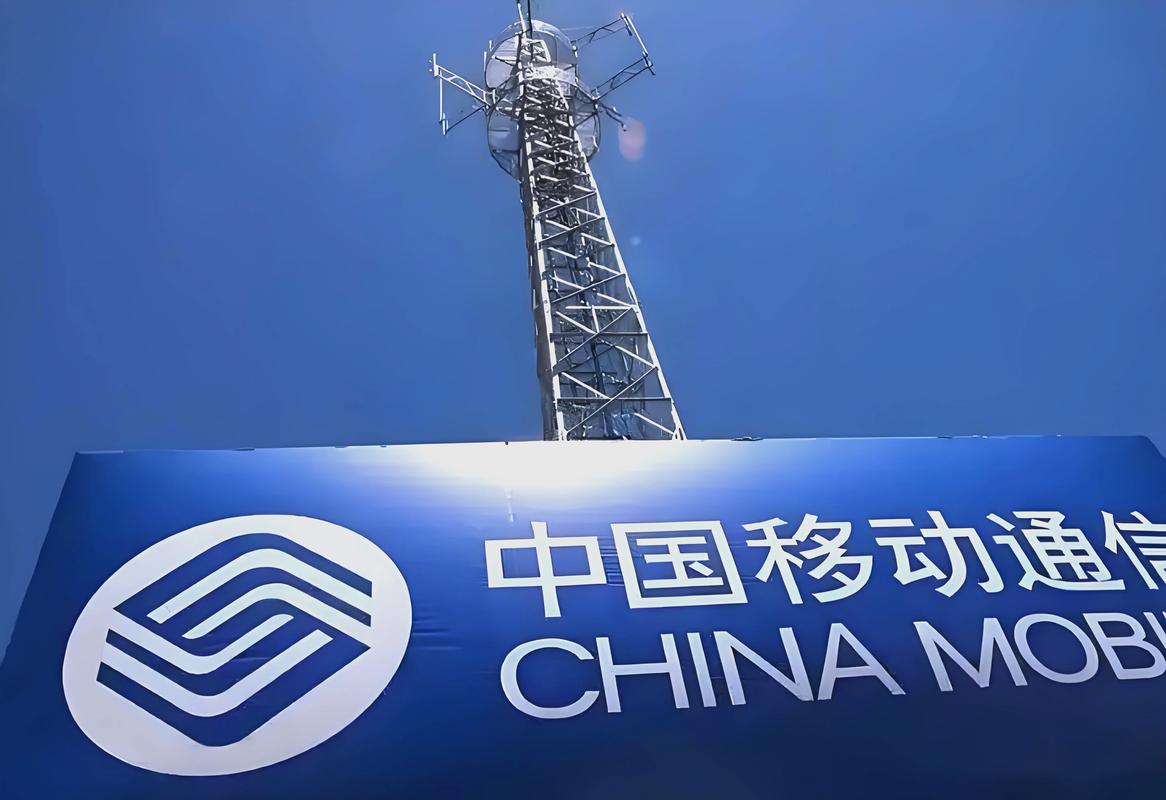 网络快车改变生活方式，高效传输信息却也带来新挑战？