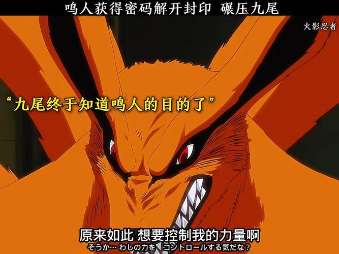 火影495_火影491集可以跳过吗_火影491集什么意思