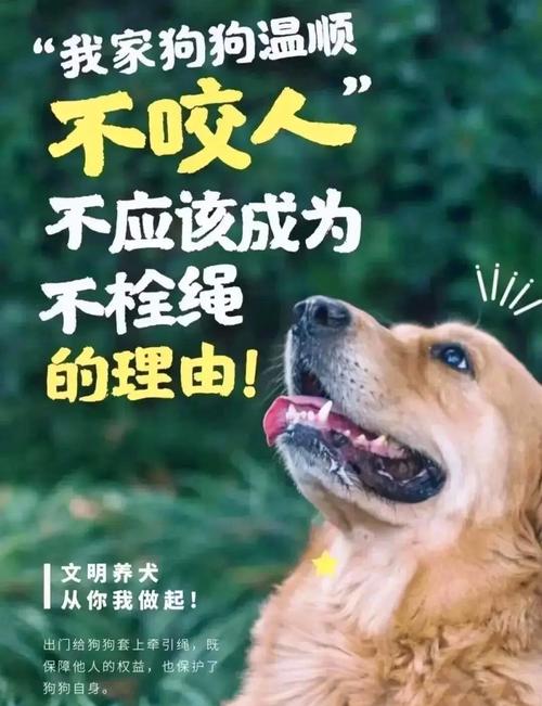 尸骨遍野_尸狗是什么_野狗的尸骨