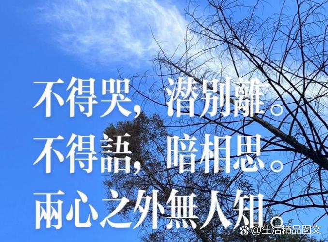 歌词匆匆离去_爱就这样匆匆离开_匆匆离开了家是什么歌曲