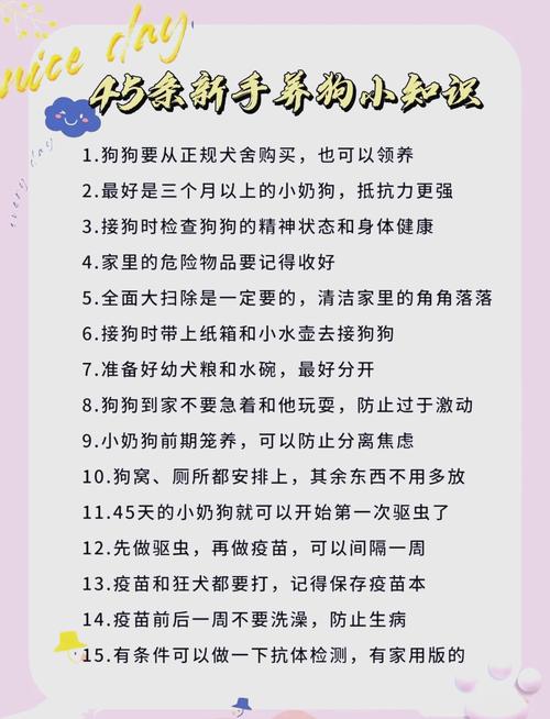 乖乖狗什么意思_乖乖狗_乖乖狗童鞋