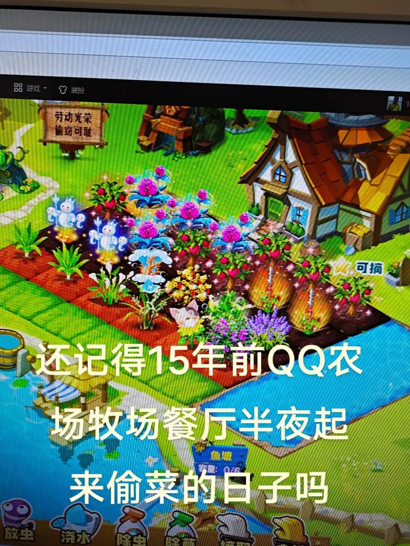 农场网站银行付款账号_qq.农场论坛_qq农场网站