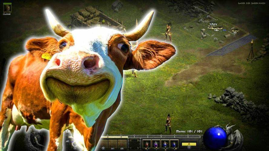 暗黑怀特之腿在哪_怀特之腿怎么用_暗黑2怀特之腿在哪