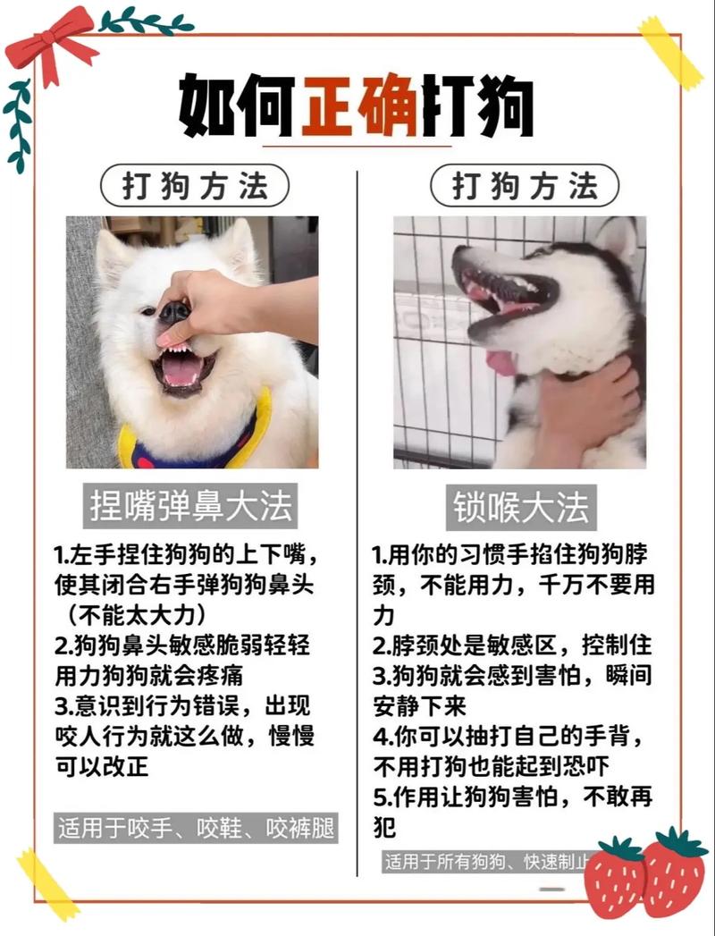 乖乖狗_乖乖狗童鞋_乖乖狗什么意思