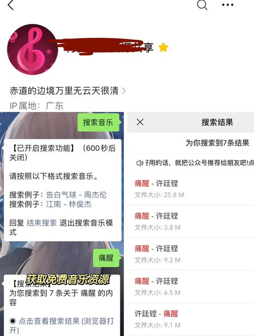 数字音乐未普及时，DVD歌曲下载的技术难题与版权风险？