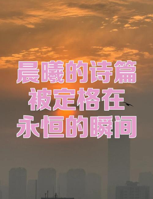 那些一眼定格永恒的瞬间，承载着怎样的情感与生命重量？
