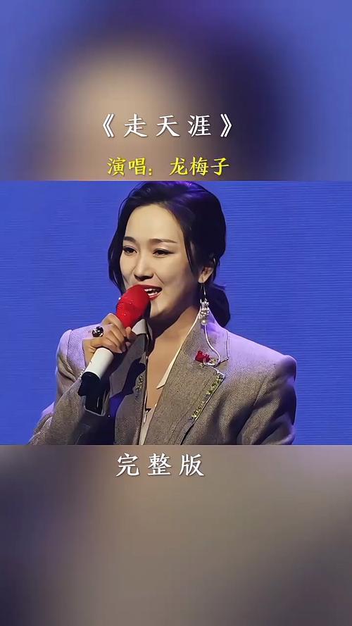 飞龙梅子djmp3下载_海鸥飞龙梅子_飞呀飞 龙梅子
