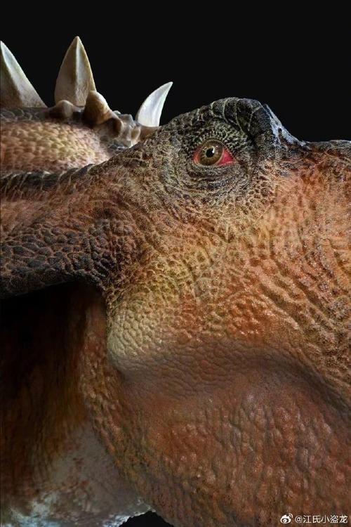 翡翠之地的恐角龙：独特外形、习性及灭绝原因成古生物研究关键？