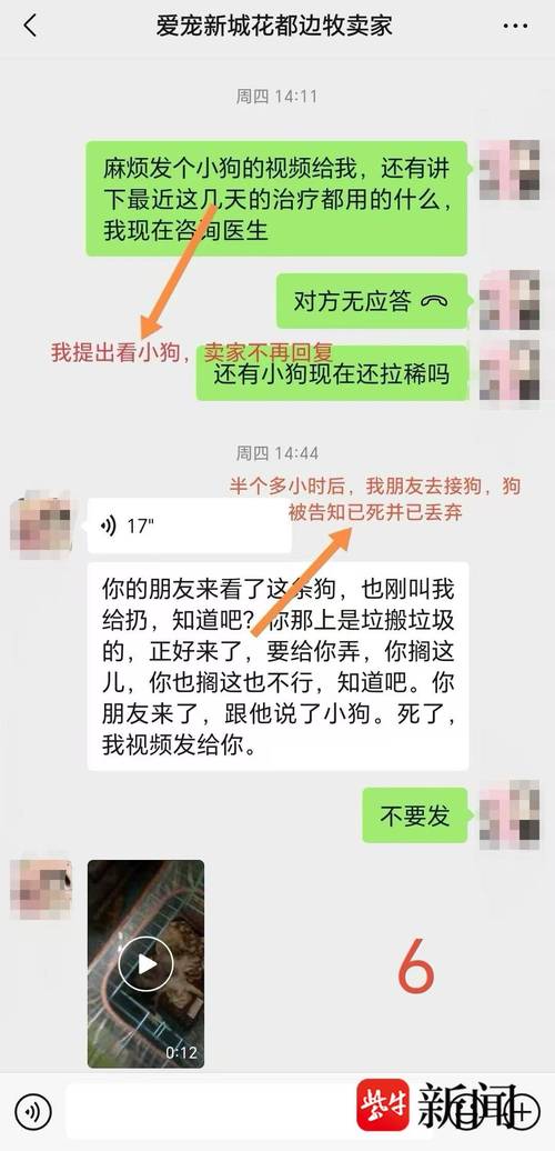 qq宠物生病_生病宠物寄养_宠物生病app