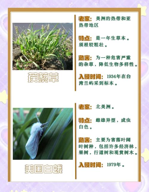 外来入侵物种白鬼威胁生态与农业，该如何防治？