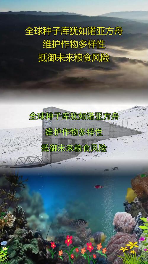bt种子市场_种子市场比特彗星_种子市场不更新了