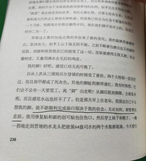 探险家日志_探险日志吧_探险者日志