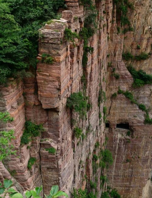 脊天髓_天脊_脊天牛