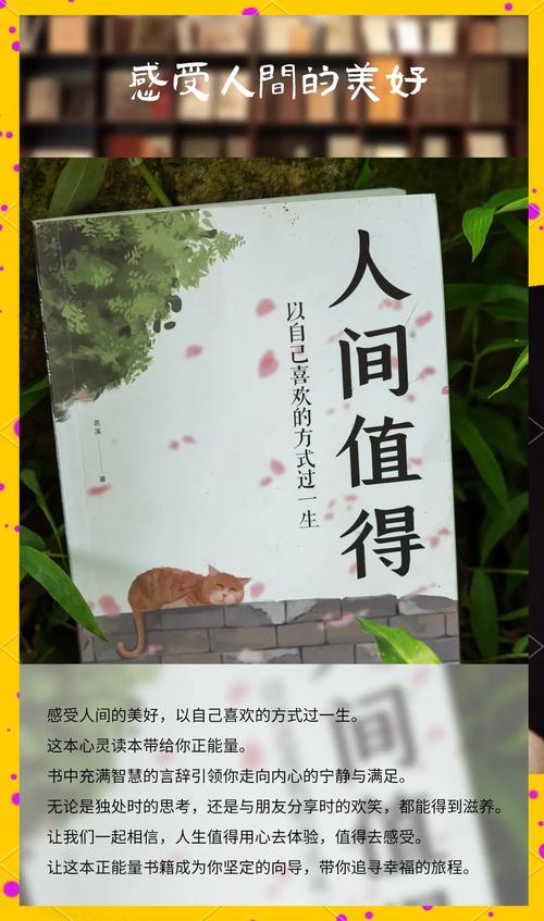踏入星月书吧，寻心灵宁静港湾，觅小众书籍乐土