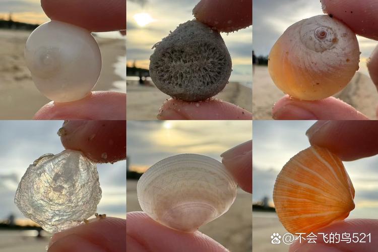 河蟹屋 河蟹屋：城市中的温暖避风港，品味宁静时光与社区温情