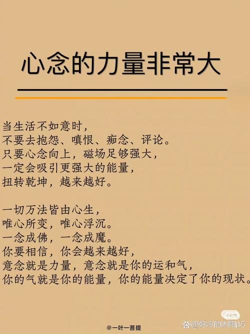 菜菜魂珠真的有用吗？揭秘其冥想、安抚情绪的真实作用与局限