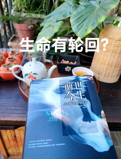 轮回结束_轮回流程_完成轮回