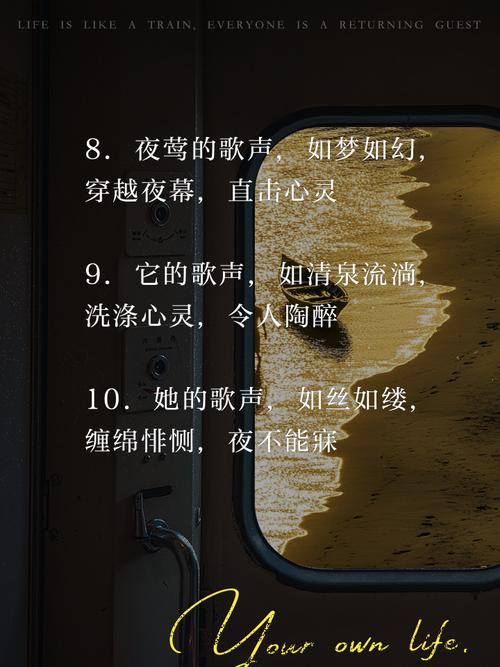 nightsong纯音乐下载_nightsong翻译_nightsong