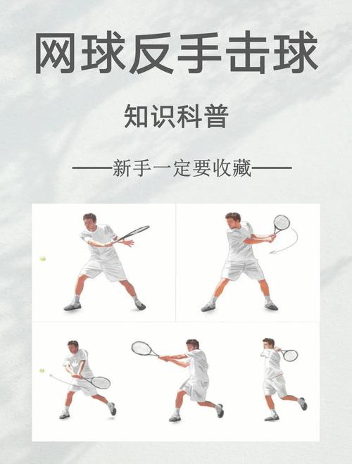 psp大众网球攻略_psp大众网球攻略_psp大众网球攻略