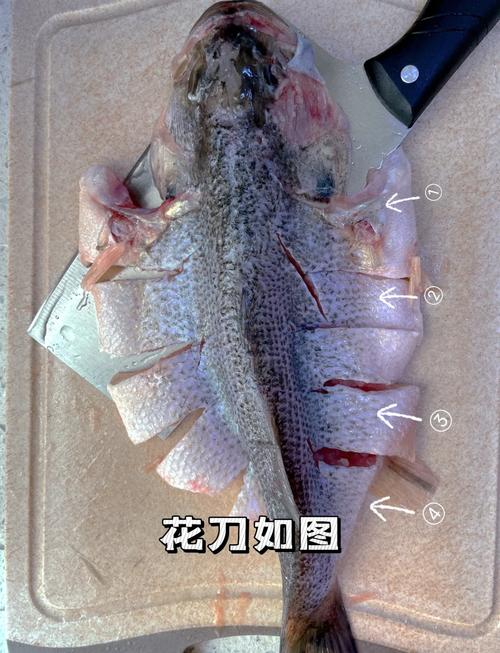 幽灵鱼怎么做_幽灵鱼的学名_幽灵鱼的图片大全