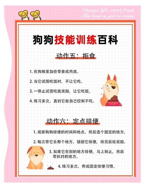 战斗宠物练级路线_如何进行宠物战斗_战斗宠物训练