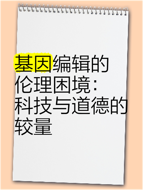 2399游戏盒_2399什么意思_2399