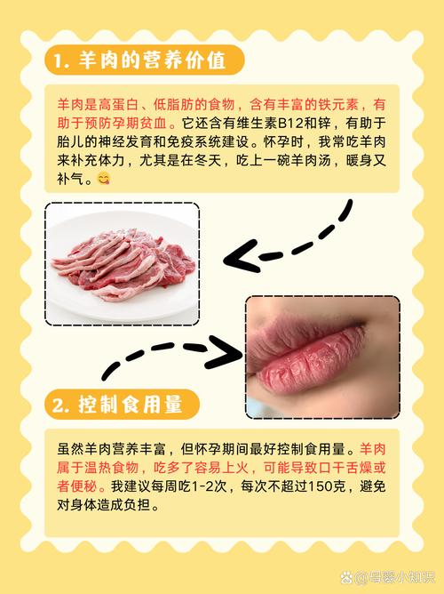 艾尔文小羊羔_羊羔呢羊羔毛_艾幼文外甥女系列