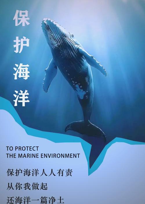 航海日志知识怎么搞_航海意志官方_网络航海志