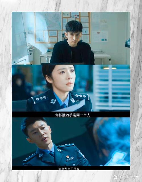 女刑警集_女刑警_铁腕女刑警