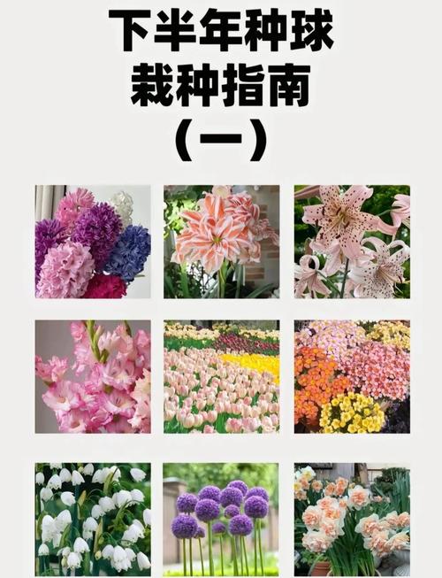 农场赚钱_农场种植赚钱_农场种什么最赚钱