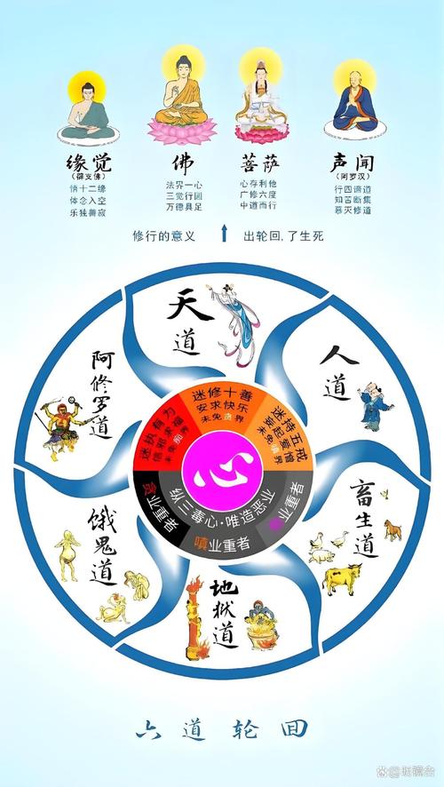 六道轮回眼的能力_六道轮回眼和轮回眼的区别_六道轮回眼