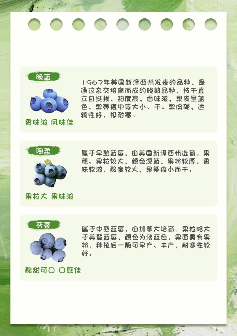 农场种什么最赚钱_农场种植赚钱_农场赚钱