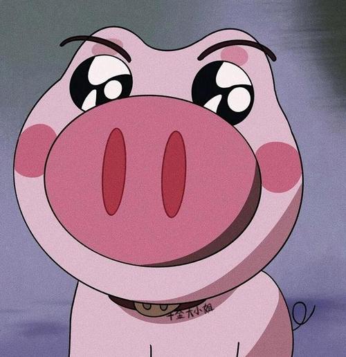 晴天小猪_晴天小猪猪_晴天小猪的特异功能