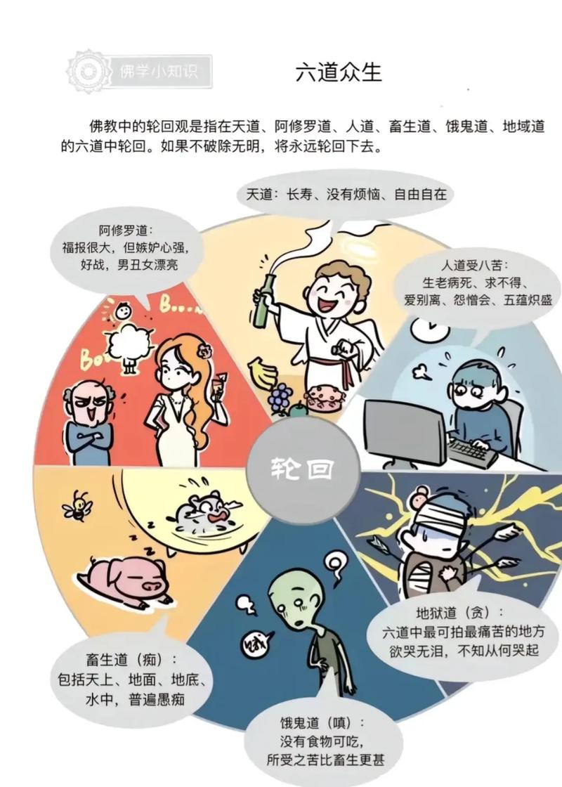 六道轮回眼_六道轮回眼和轮回眼的区别_六道轮回眼的能力