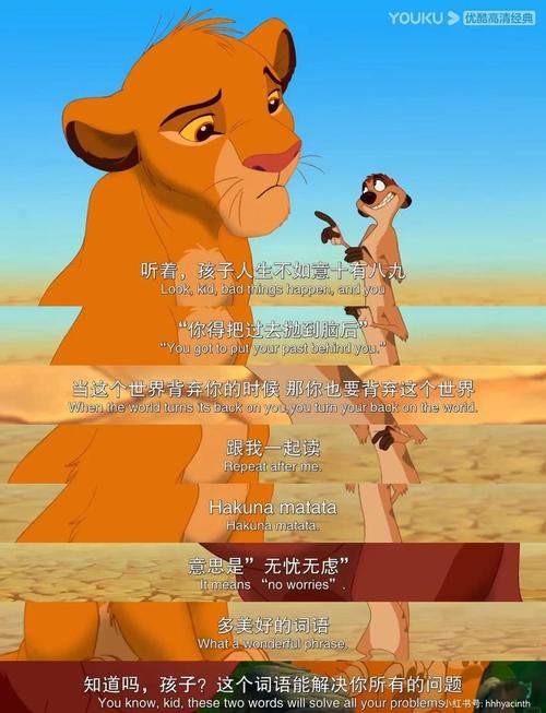 这部动画片：狮子的倒霉日常，传递生活无常与坚韧态度