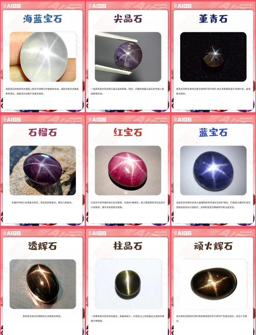 星钻_星钻物语_星钻雷诺