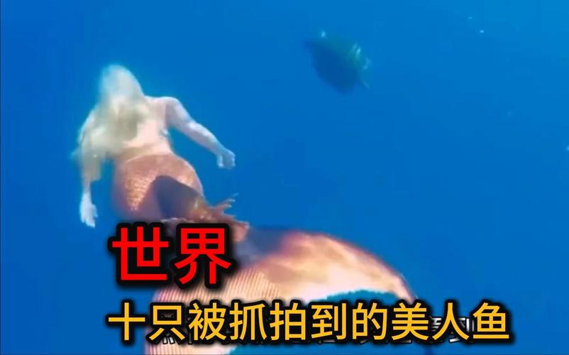 美人鱼电视剧2021_美人鱼电视剧全集_美人鱼电视大全