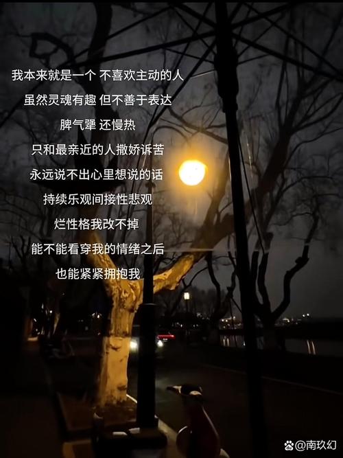以为的意思_以为歌词_总以为你就在那里