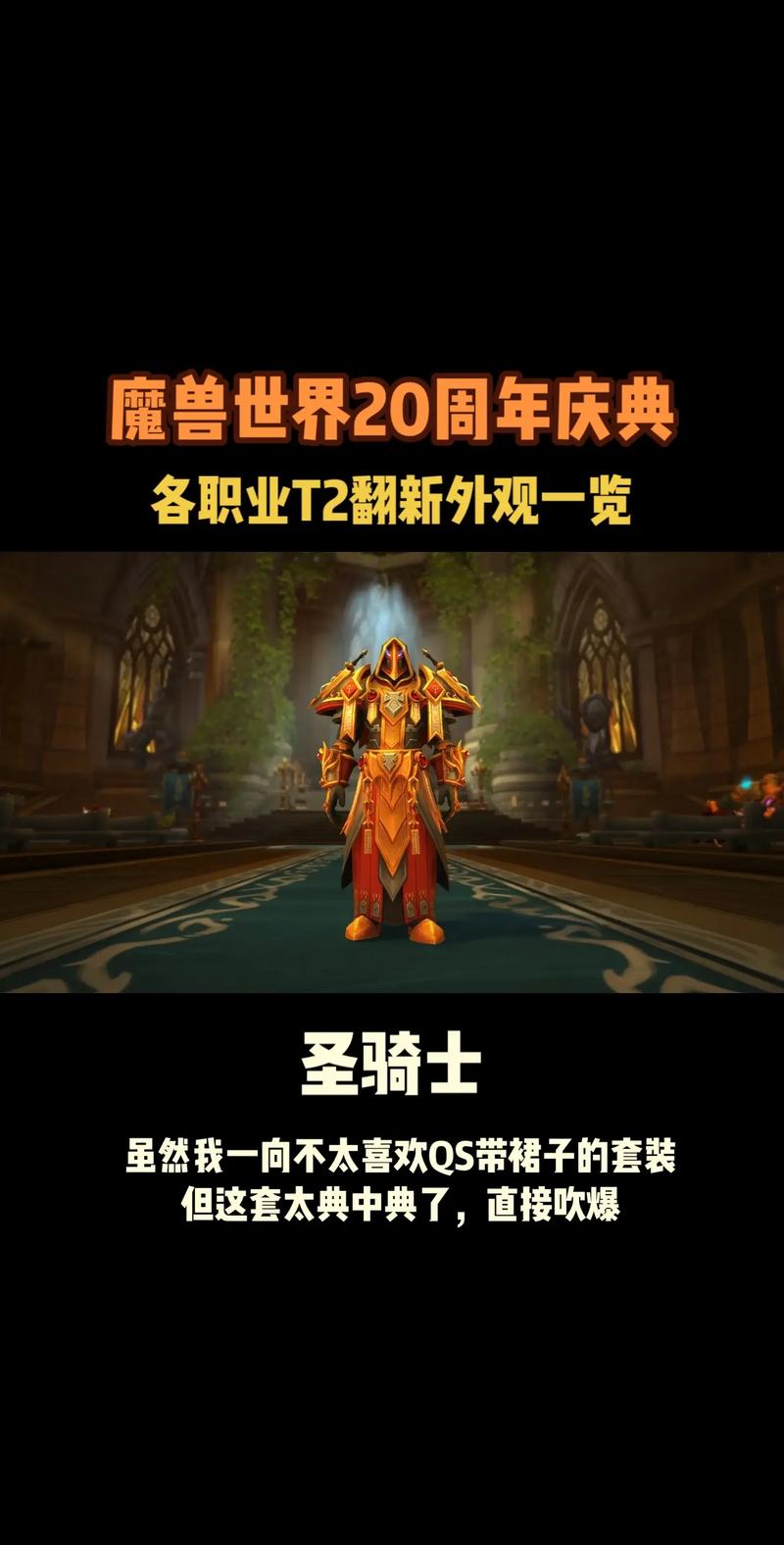 假骑士的盔甲_假骑士有几条命_圣骑士伪t2